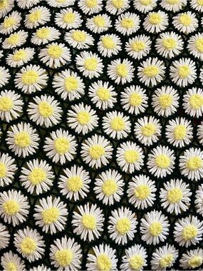 Vintage Daisy Crochet Afghan Blanket